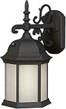 Forte Lighting 17008-01-04 Exterior Wall Light with Frosted Seeded Glass Shades, Black [並行輸入品]