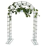ガーデンアーチAHM4 バラアーチ つる植物・ローズの誘引