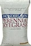 Barenbrug USA22205Perennial Ryegrass Grass Seed-5LB PERENNIAL RYE SEED (並行輸入品)