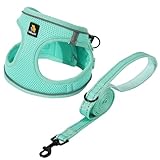 BELLA & PAL ステップインベストハーネス 小中型犬用 引っ張りなし 小型犬用ハーネス リーシュセット付き 快適なエアメッシュ 犬用ベストハーネス 反射ストリップ付き (ライトグリーン、XXS)