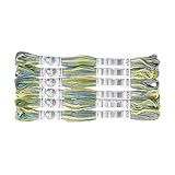 DMC Coloris コロリ 刺繍糸 6束入 25番 #4506 DMC517B