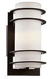 Transglobe Lighting 40204 BK Outdoor Wall Light with White Glass Shade, Black Finished by Transglobe