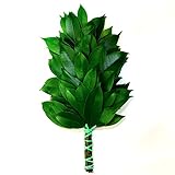 榊、一束。一般的な神棚に飾れる大きさの和歌山県産の「本榊」数量限定商品です。