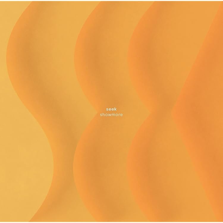 [レコード] showmore overnight LP レコード] showmore overnight LP 芽瑠璃堂 ＞ アーバンポップ