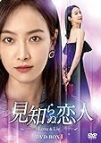 見知らぬ恋人~Love & Lie~ DVD-BOX1