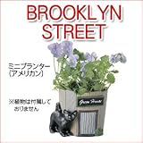 ミニプランター(アメリカン)　SCZ-1805-180 単品 【1点】