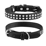 BINGPET 犬 首輪 ペット用品 ベーシック 犬首輪 本革 スタッズ付き 犬の首輪 いぬ 犬くびわ 小型犬 中型犬 大型犬 柴犬 秋田犬 (ブラック Mサイズ)