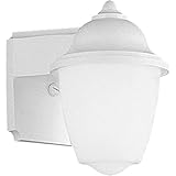 Progress Lighting P5844-30 White Outdoor 1-Light Plastic Wall Lantern with White Acrylic Glass, Whit