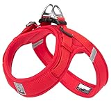 cocomall 喉に優しい犬ハーネス 2023最新 TRUE LOVE日本授権店 犬用ハーネス 犬用胴輪 ドッグ ペット用品 ハーネスリード 3M反射材料 訓練 ナイロン製 超型犬、小型犬、中型犬に向け 通気性 調節可能 夏に対応 (XXS, レッド)