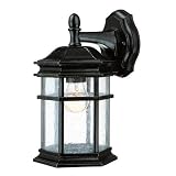 11-1/2-Inch Outdoor Wall Light [並行輸入品]