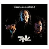 Don't Hold Back [12 inch Analog]