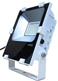 LED投光器50W 400W相当形（屋内外兼用）　 (5000Ｋ（昼白色）)