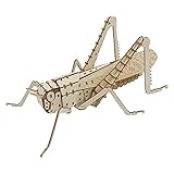 つくるんです ポケットバグズ トノサマバッタ 【日本公式販売／日本語説明書付】