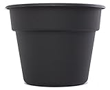 Bloem 6インチデュラテラコッタプランターブラックDC6-00