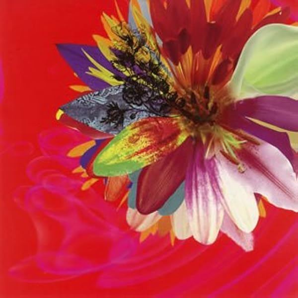 Amazon.co.jp: 斑蠡~MADARA~: ミュージック