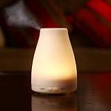 100 ml Aromatherapy Essential Oil Diffuserポータブル超音波クールミストアロマ加湿器LEDライト変更for Usモデル – Pier 27