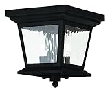 Livex Lighting 20230-04 Hathaway 2-Light Outdoor Ceiling Mount, Black by Livex Lighting