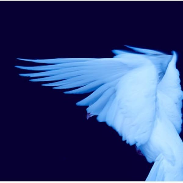 Amazon.co.jp: 初恋に捧ぐ - 初恋の嵐 [Analog]: ミュージック