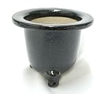 観音竹鉢　京楽焼　4.0号　サナ付き カンノンチク　ヤシ科　植木鉢　庭　園芸　ガーデニング