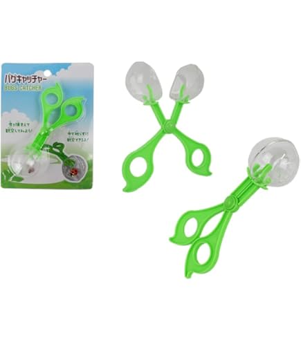 Amazon | 小学校受験マスター 教材セット 季節 野菜 果物 動物 生き物