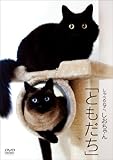 しゃべるねこ、しおちゃん「ともだち」 [DVD]