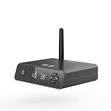 FIIO BR13 FIO-BR13 【日本国内正規品・シリアルナンバー付】 フィーオ Bluetooth レシーバー ブルートゥース 受信 USB DAC オーディオ LDAC aptX adaptive ハイレゾ ハイレゾワイヤレス 低ノイズ UAC1.0