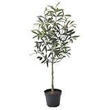 asca 造花 オリーブポット A-50798-054