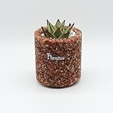 FLORASHOW 多肉植物　ミニ観葉　植木鉢　ガーデニング　各種天然宝石、瑪瑙、水晶、貝殻使用 防水、防腐、防虫、通気　呼吸できる鉢【6.5x9cm】 (レッドアゲート（赤瑪瑙）)