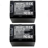 WELLSKY BN-VG138 BN-VG129 BN-VG119 互換バッテリー 2個 [ 純正充電器で充電可能 残量表示可能 純正品と同じよう使用可能 ] ビクター Everio エブリオ