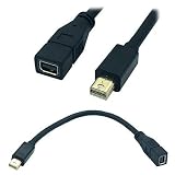 Rosebe ケーブルDPきタイプMini DisplayPortオスto Mini DPメス拡張ケーブル【30cm】Mini DisplayPort オス - Mini DisplayPort DP メス 延長ケーブル