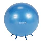 GYMNIC(ギムニク) シッティング・ジム 65 BRQ 青 【Wアクションポンププレゼント】 LP-8965