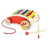 Juratoys US JND05380 Xylo Roller Tatoo Music Toy - Multi Color