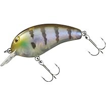 Amazon.co.jp: ダイワ(DAIWA) ピーナッツ DDR セクシーシャッド 50mm