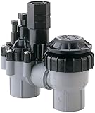 Rain Bird DASASVF100 Sure Flow Professional Grade Anti-Siphon Valve, 1" [並行輸入品]