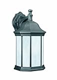 Thomas Lighting Pl9462-7 Hawthorne One-Light Energy Star Certified Outdoor Wall Lantern, Matte Black