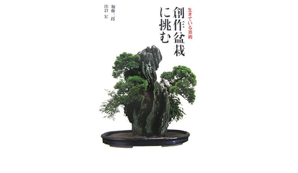 誠実 創作盆栽に挑む 生きている芸術 趣味 スポーツ 実用 Www Janvier Labs Com
