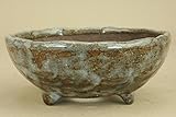 いよじ園 （盆栽鉢） 越前文山作 手びねり 彩色単口丸鉢（貴風サイズ）（いよじ園 伊予路園）