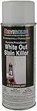 Seymour 16-053 Surface Sealer, White Out [並行輸入品]
