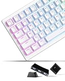 XVX ダブルショットPBTキーキャップセット 60/75/100%対応 - シャインスルーキーキャップ、メカニカルキーボード用 フル131キーセット OEMプロファイル バックライト対応 -ホワイト（US配列）
