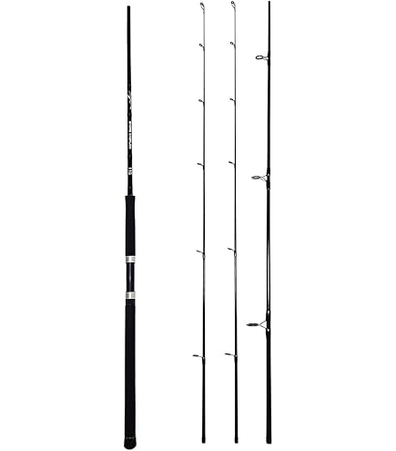 Amazon | RIZAS(ライザス) ショアジギングロッド SHORE JIGGING 各種