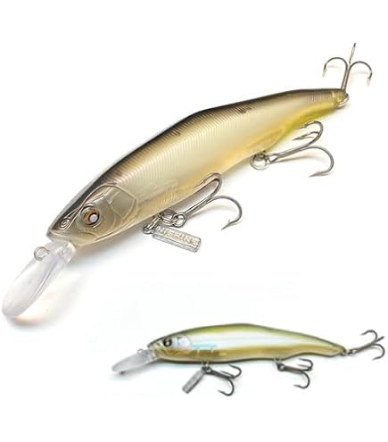 Amazon | スミス(SMITH LTD) ヒロイズム カリプソ HIM-C52ML-LJ2 5.2