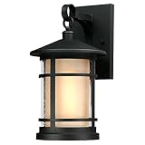 Westinghouse 6312400 Albright One-Light Outdoor Medium Wall Lantern with Amber Frosted and Clear See