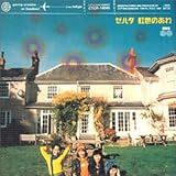 ���F�̂���