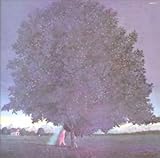 ���j�������g