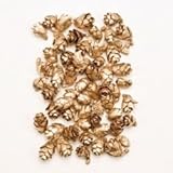 ~Coco Heart~　タマラックコーン　ゴールド　３０g 　（木の実・ドライフラワー・クリスマス）