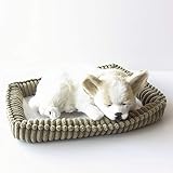 ニニアンドキノ パーフェクトペット (小サイズ) チワワ スムース ぬいぐるみ 犬 いぬ イヌ リアル 本物 そっくり 雑貨 動物 アニマル 癒し 動く プレゼント ギフト お祝い かわいい 犬のぬいぐるみ