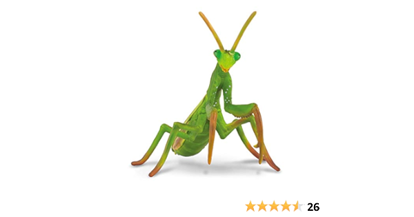 Amazon Collecta カマキリ プラモデル 通販