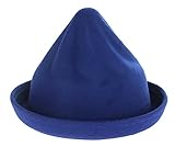 (コ-ランド) Co-land 可愛い 子供用帽子 ハット キッズ とんがり フェルトハット 無地純色 ボーラーハット ベビーキャップ 女の子 男の子 秋冬防寒 サファイア色