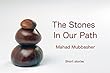 The Stones In Our Path (English Edition)