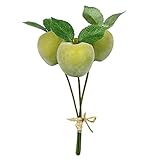 リンゴピック(3本) FXFPB0007GR